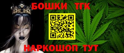 соль ск Моздок