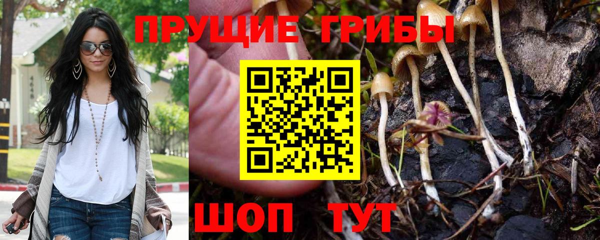 Псилоцибиновые грибы ЛСД Сочи
