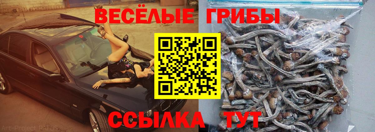 Галлюциногенные грибы GOLDEN TEACHER  Вход с VPN  Псилоцибиновые грибы GOLDEN TEACHER  Сочи 