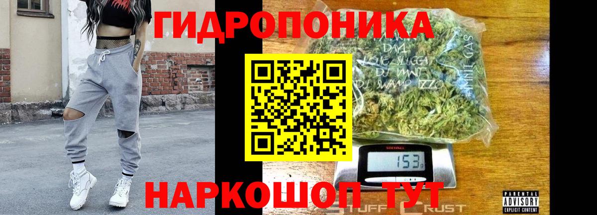 Марихуана сатива Сочи